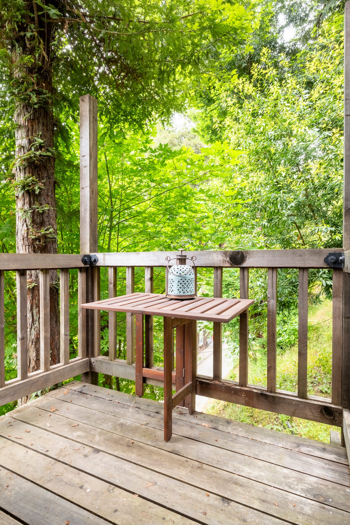 Side deck under towering redwoods
